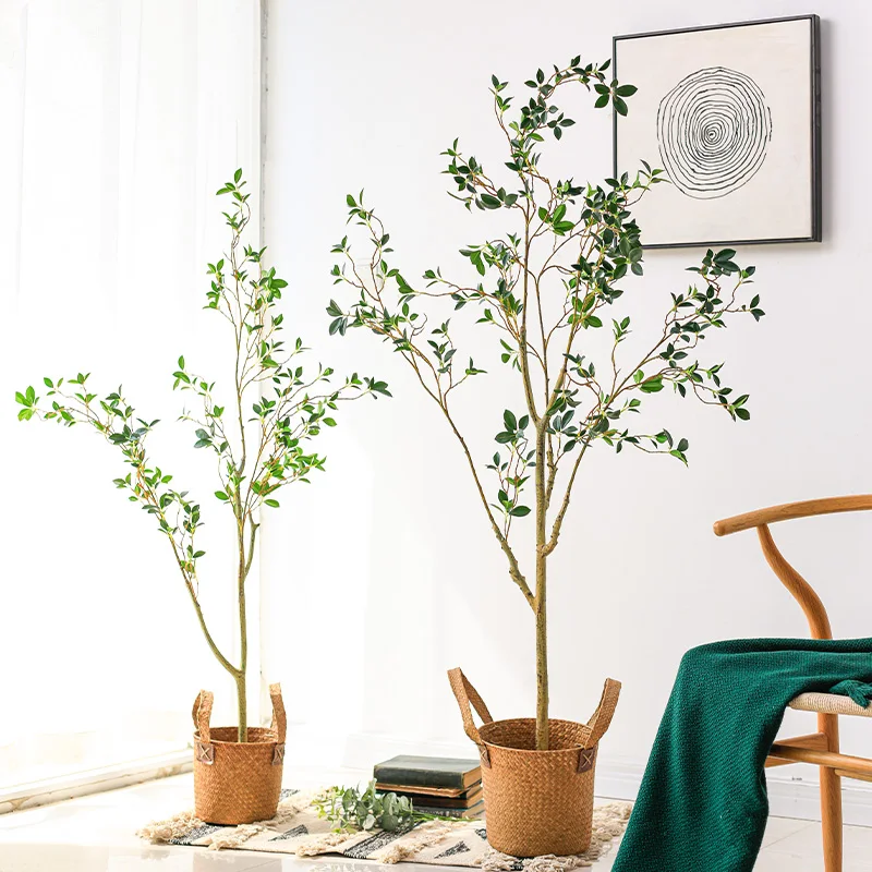 韓国インテリアを再現｜カフェ風部屋の作り方 - ツバキ大型植物によるインテリア構成法