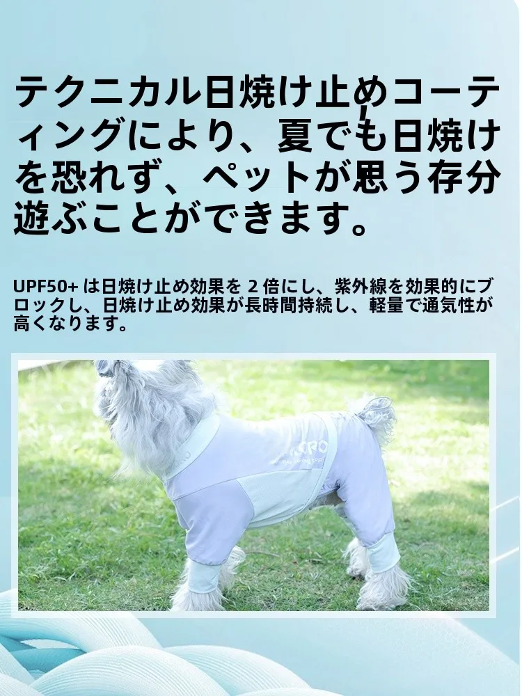 犬のお散歩グッズをコスパ良く揃える方法　涼感ウェアの選び方と実用性徹底解説