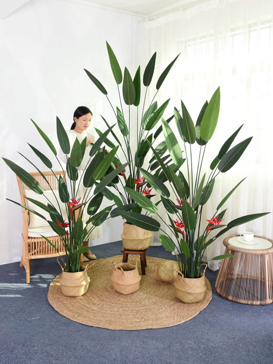 インテリア買い物リストの完全ガイド｜人気ブランド比較と観葉植物選びの実践術