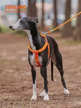 犬用 ハーネスリード ペット散歩 中型犬 高品質 快適耐久