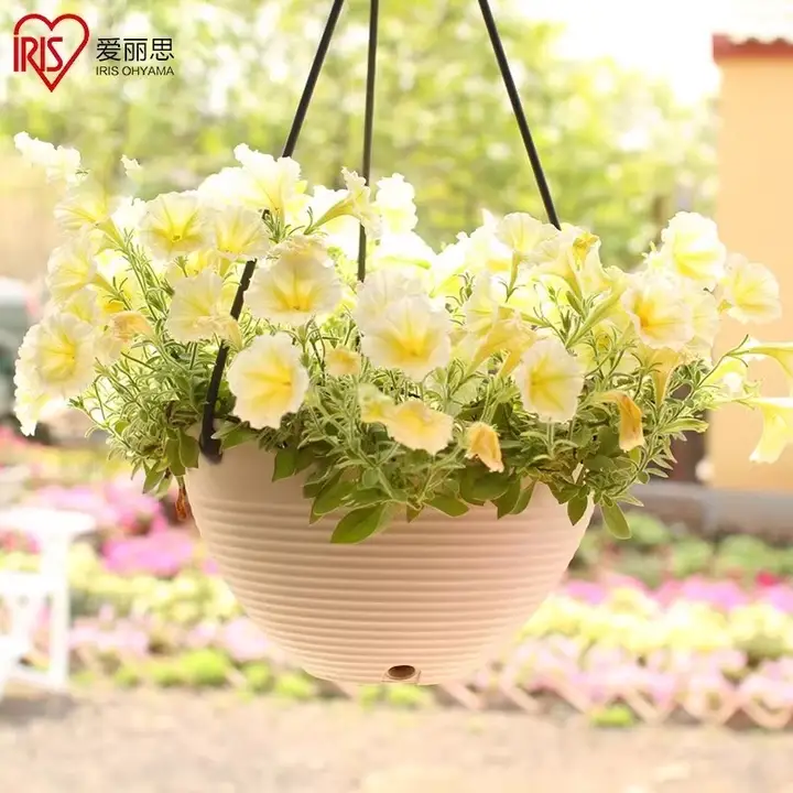 愛莉思 吊り下げ型プラスチックプランター【観葉植物用・厚手・簡単お手入れ】