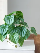 北欧風 インテリア装飾用フェイクグリーン葉盆栽【デスク用・おしゃれな造花】