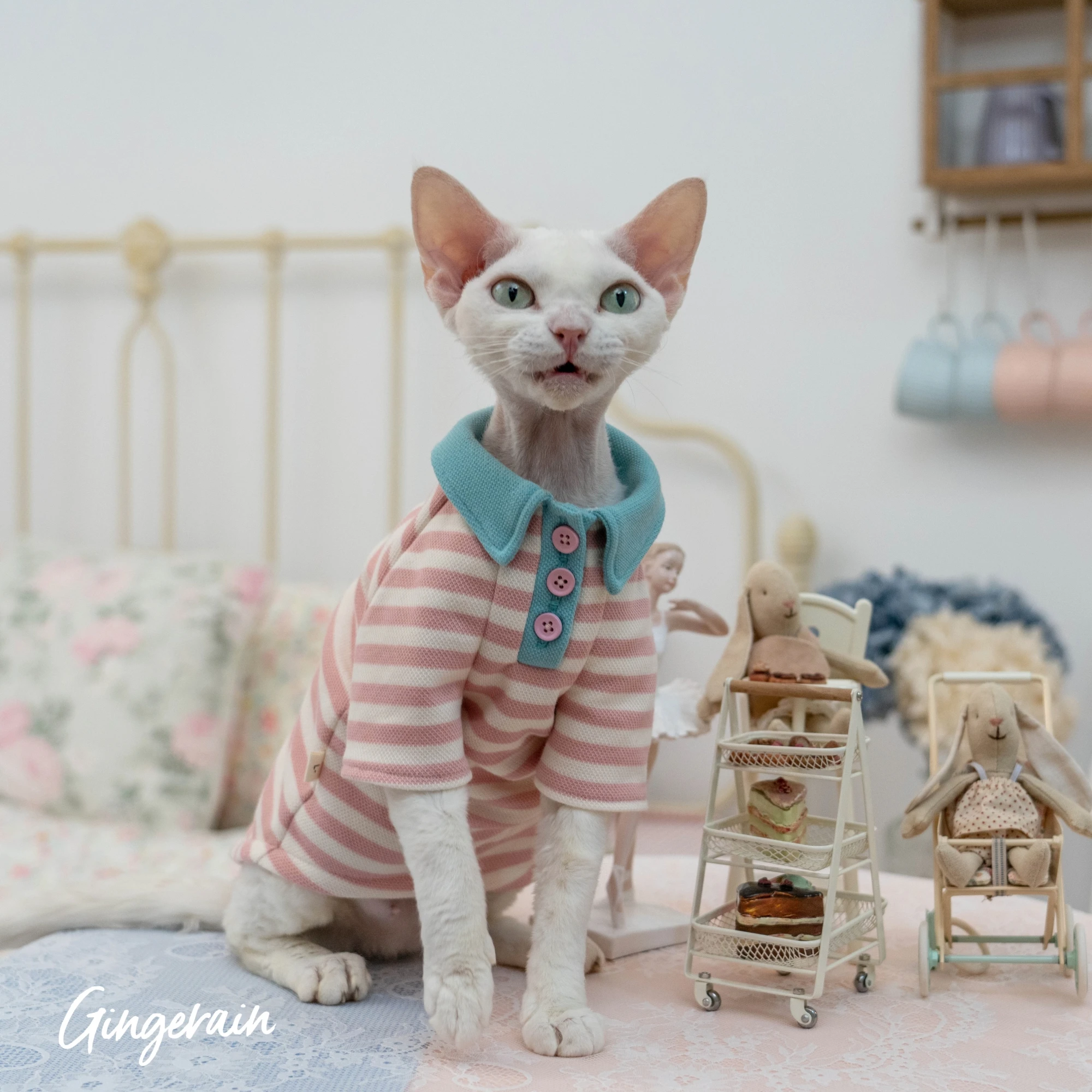 猫用衣服 ストライプPOLOシャツ キャンディカラー 可愛い：愛猫の日常に最適な着用シーンとサイズ対応の実証