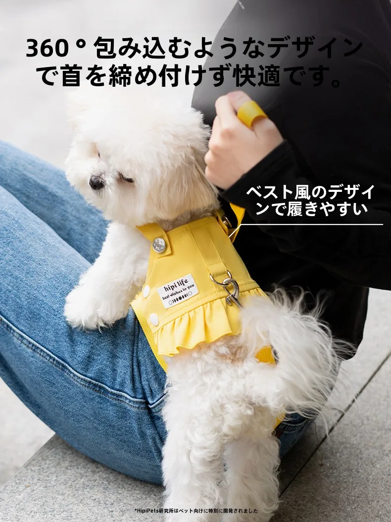 小型犬の散歩リードに何が大切？可愛さと安全のバランスを取るベストな選択とは？