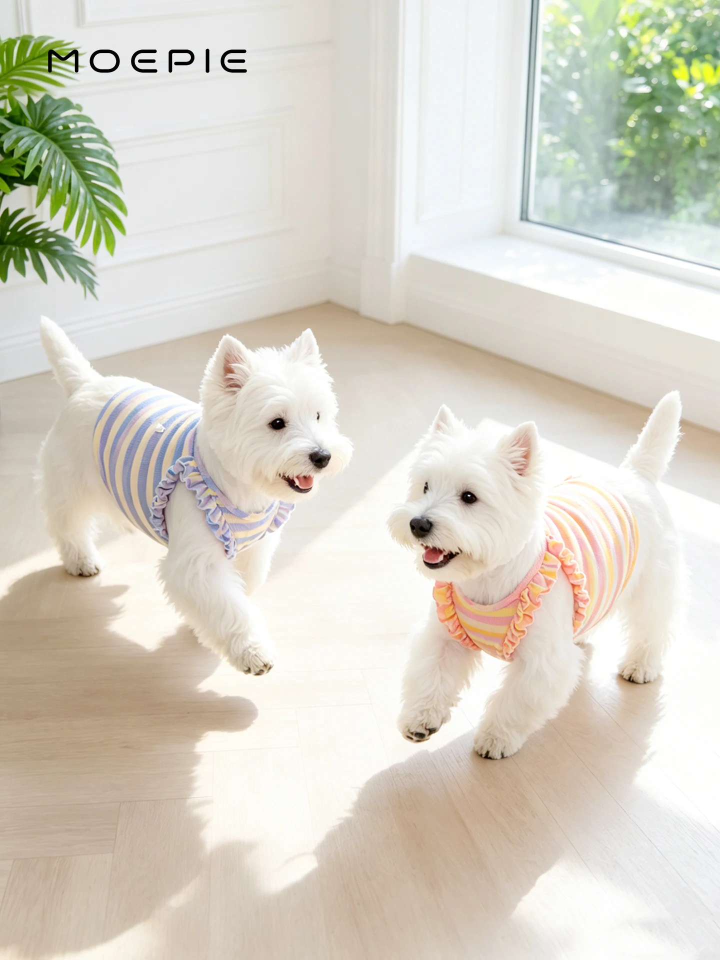 犬の夏用服：MOEPIE半袖通気性服の実用性とサイズ選定ガイド