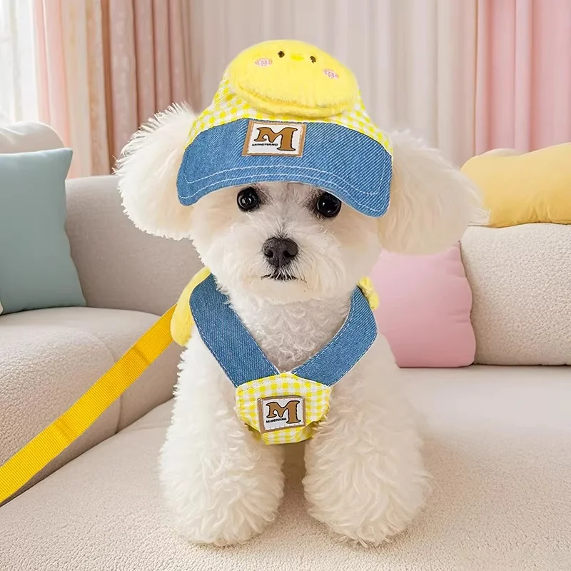 小型犬用ハーネス付きリード：首を締めない設計で引っ張り防止を実現