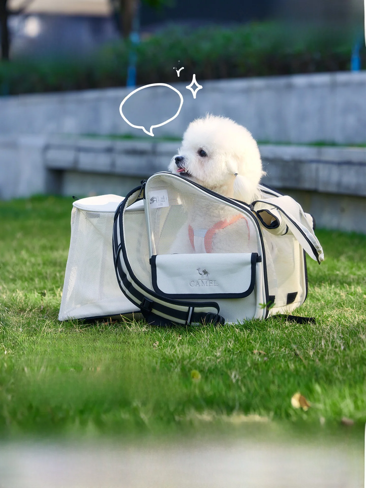 Camel ペット用キャリーバッグ：アウトドアシーンでの小型猫犬対応の実用性と設計特性