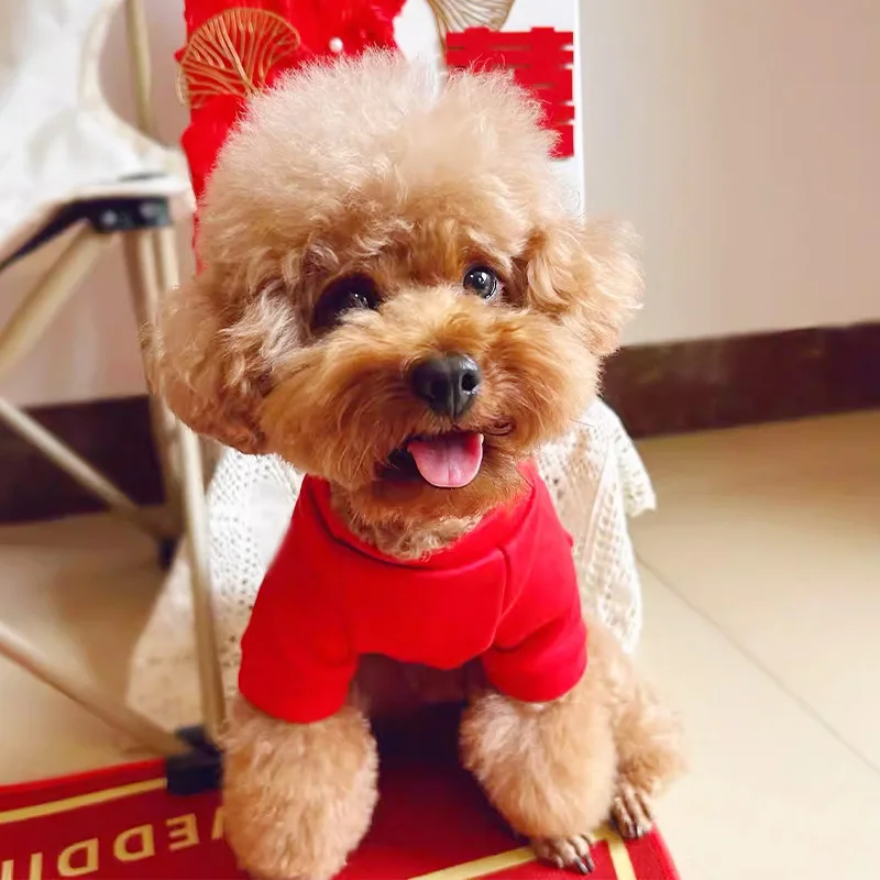 犬用冬用保温フリース衣着：ペットクリスマスプレゼントとしての実用性とサイズ選定ガイド
