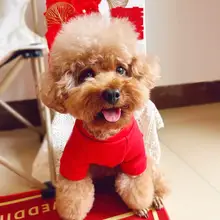 犬用衣服【テディ・お出かけ用・お祝いの赤・冬用・保温・フリース】