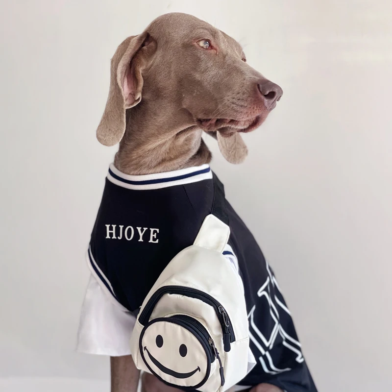 大型犬用夏用ペットウェア：薄手ドッグTシャツで暑さ対策を実現
