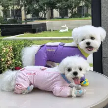 ドッグウェア 小型犬 トイプードル ビションフリーゼ 4本足カバー 防塵 防汚 撥水 クール