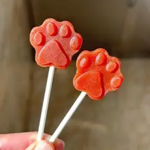高温対応 シリコン製 お菓子型【赤い果実とチョコレートスティック用・ベビー用・キッチン・焼き菓子】