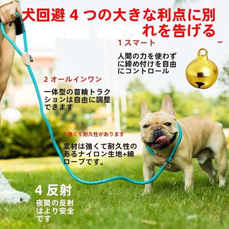 犬のお散歩グッズをコスパ良く揃える方法 - 反射素材のナイロン製リードのサイズ対応