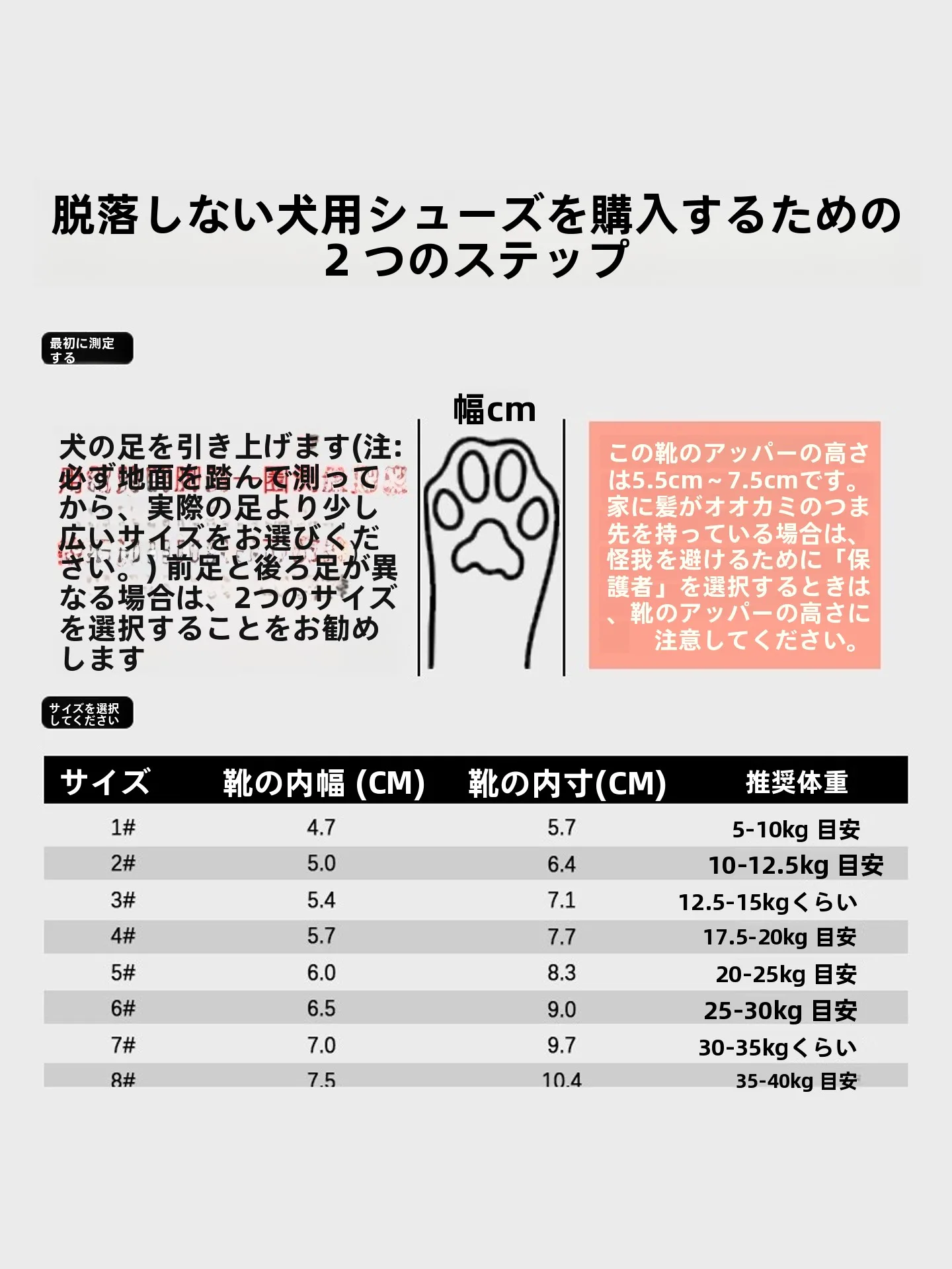 犬のお散歩グッズをコスパ良く揃える方法｜通気性シューズで快適散歩を実現