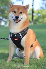 調整可能なハーネス型犬用リード【中大型犬用・外出用・ネット流行】
