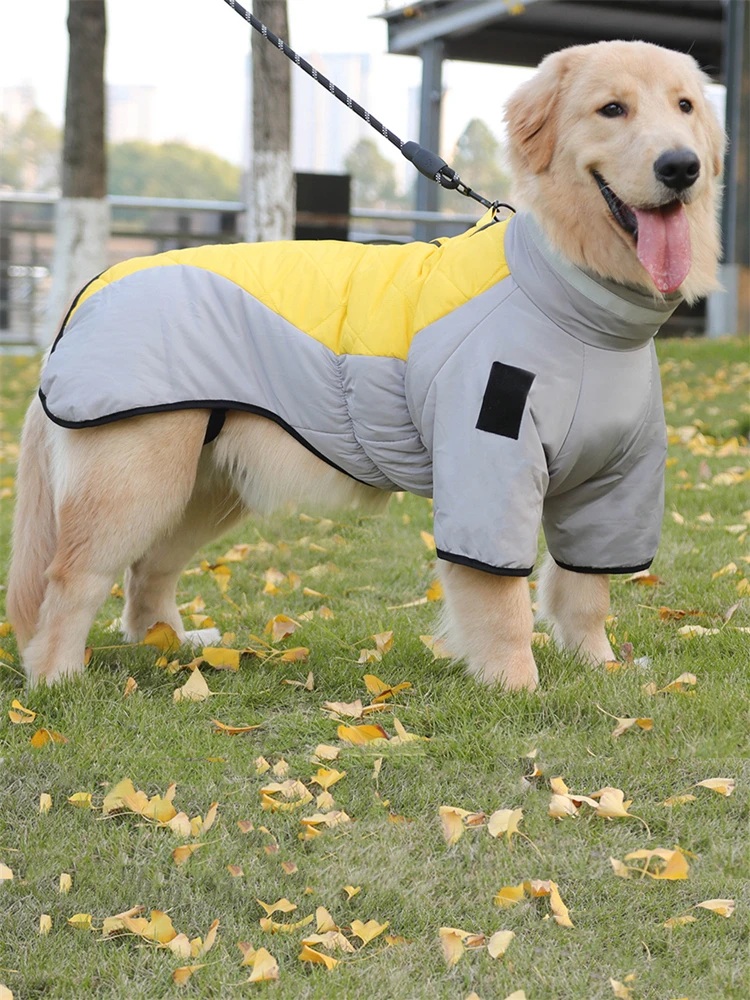 犬のお散歩グッズをコスパ良く揃える方法｜反射素材で安全に散歩できるフリースコートの選び方