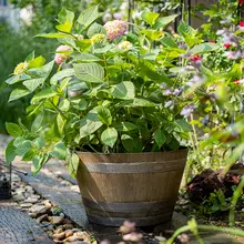 木桶風プランター 大型 樹脂 ビンテージ ガーデン バルコニー