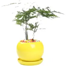 ミニ可愛い陶器の多肉植物用鉢【純白・ピンク・丸形・通気性あり】