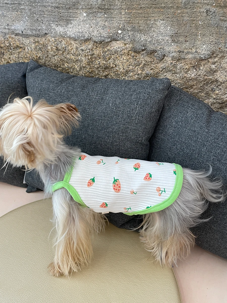 犬の夏用洋服：通気性と清涼感を実現する吊带スタイルの選定ガイド
