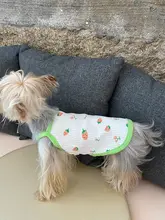 ペット用服【犬・猫用・通気性あり・夏用・清涼感のあるデザイン】