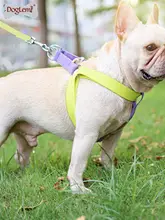 犬用ハーネスリード【散歩用・胸部サポート・テディ・フレンチブルドッグ・ゴールデンレトリーバー対応】
