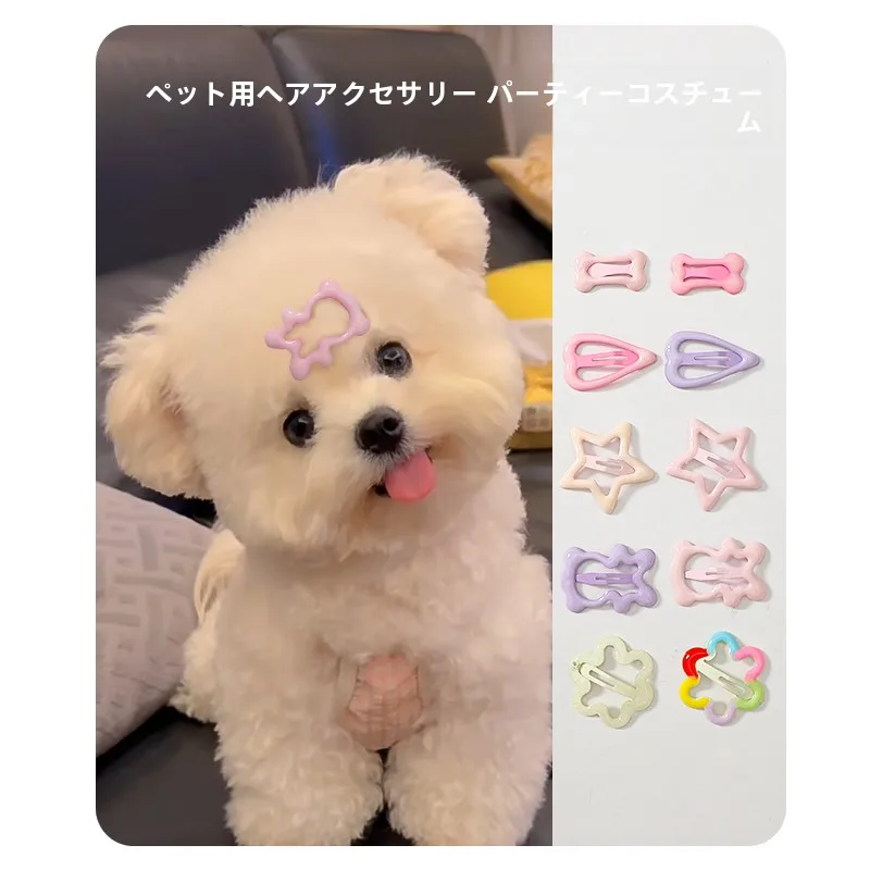 おしゃれな犬用ヘアクリップ：小さなクマデザインがファッション性を実現