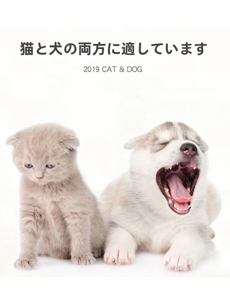 猫飼いが買ってよかったもの・悪かったもの正直に言う ステンレス製餌皿の倒れ防止とサイズ対応