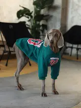 大型犬用 秋冬運動パーカー【防毛・ペットウェア・ゴールデンレトリバー・ラブラドール対応】