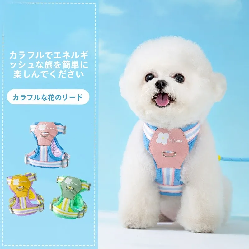 小型犬用ハーネス付きリード：胸部サポートと防咬機能を備えた実用性の検証
