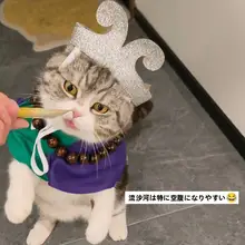 ペット コスプレ 犬 猫 沙悟浄 仮装 襟 マント 頭飾り 3点セット ハロウィン