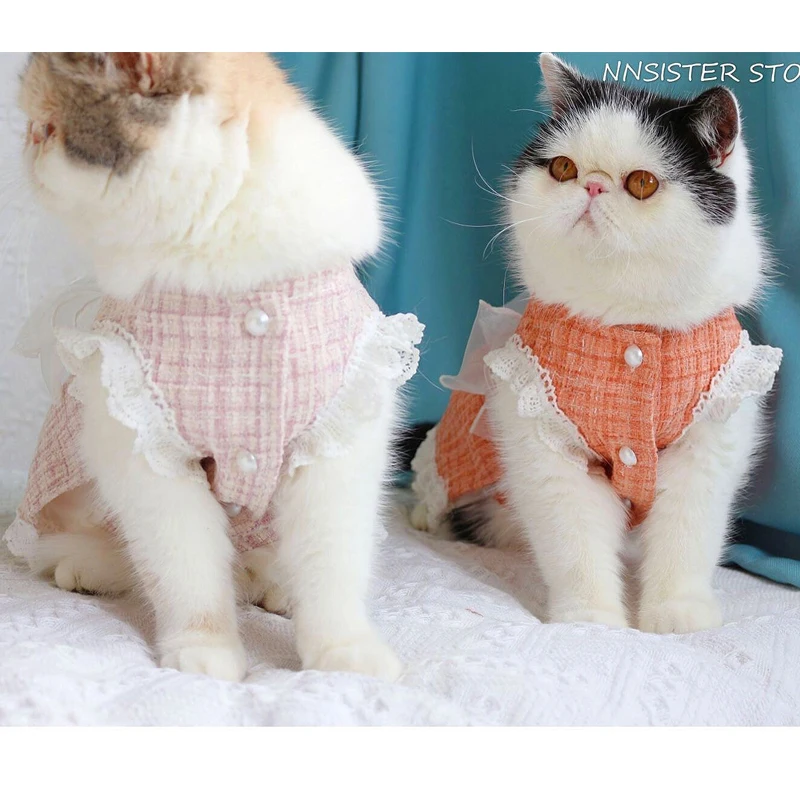 おうち時間を豊かにするおすすめアイテム｜猫の服プリンセスドレスで癒しを実現する完全ガイド