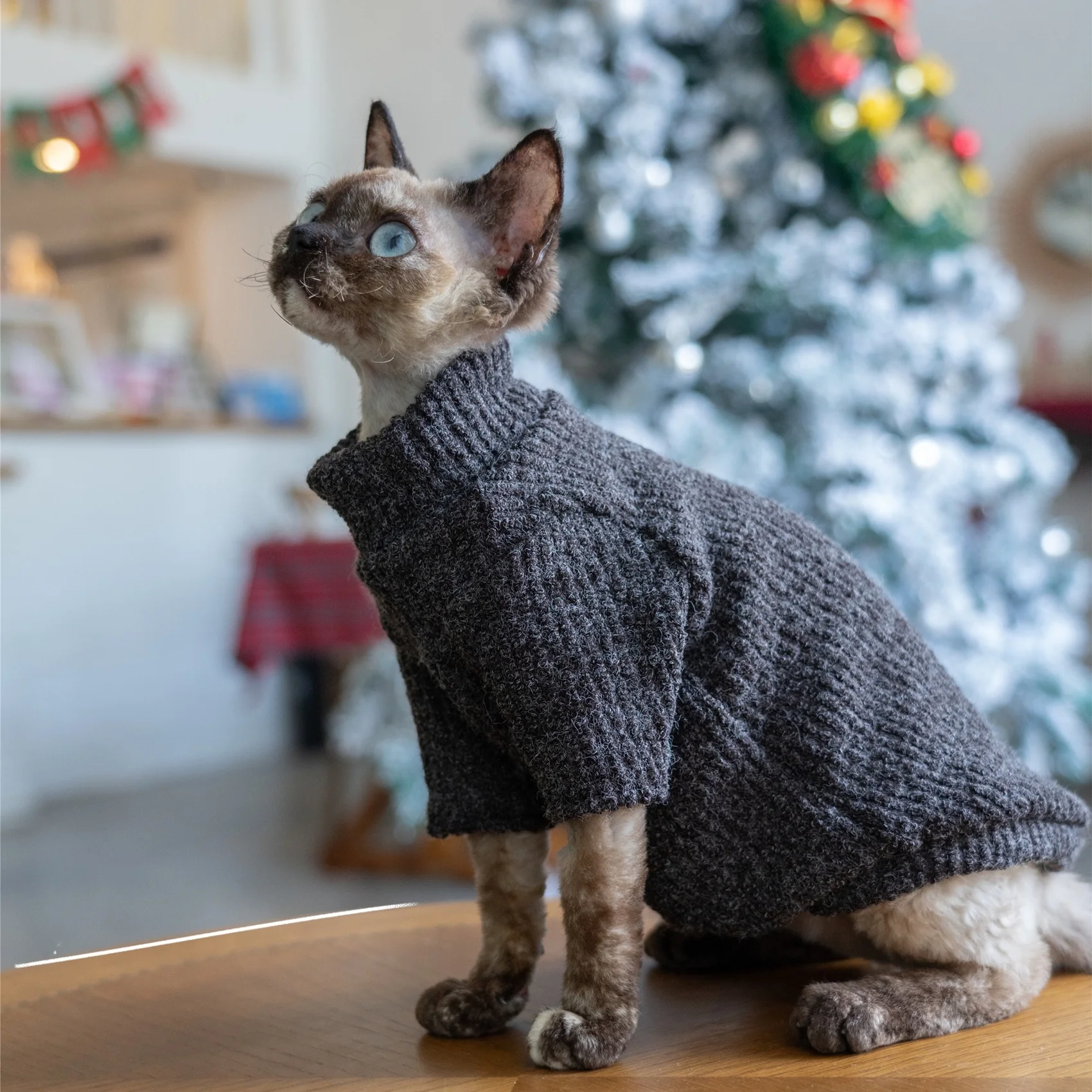 一人暮らしに適した無毛猫用セーター：秋冬の保温と耐汚れデザインを実証