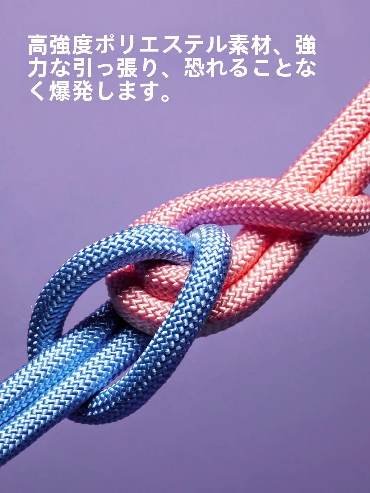 犬のお散歩グッズをコスパ良く揃える方法　安全機能が融合した選定ガイド