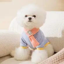 hipidog 小型犬用ウェア【春秋用・テディベア風・ニット・カラーブロックデザイン】