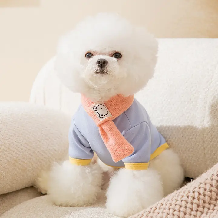 hipidog 小型犬用ウェア【春秋用・テディベア風・ニット・カラーブロックデザイン】