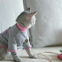 ペット用 ネックレス【猫・犬・テディ・レトロなブロンズチェーン・かわいいデザイン】