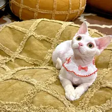 夏用 猫用リボン付きスカーフ【デザイン・可愛い・Yorkshireスタイル】