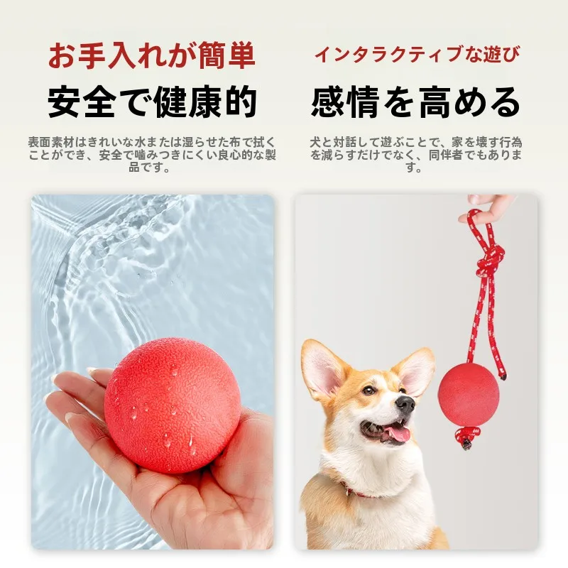 犬用おもちゃボール：耐噛性と歯磨き機能で長く遊べる小型犬向けゴム製商品