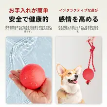 犬用おもちゃボール【耐噛性・散歩用・小型犬向け・ゴム製・歯磨き用・コード付き】