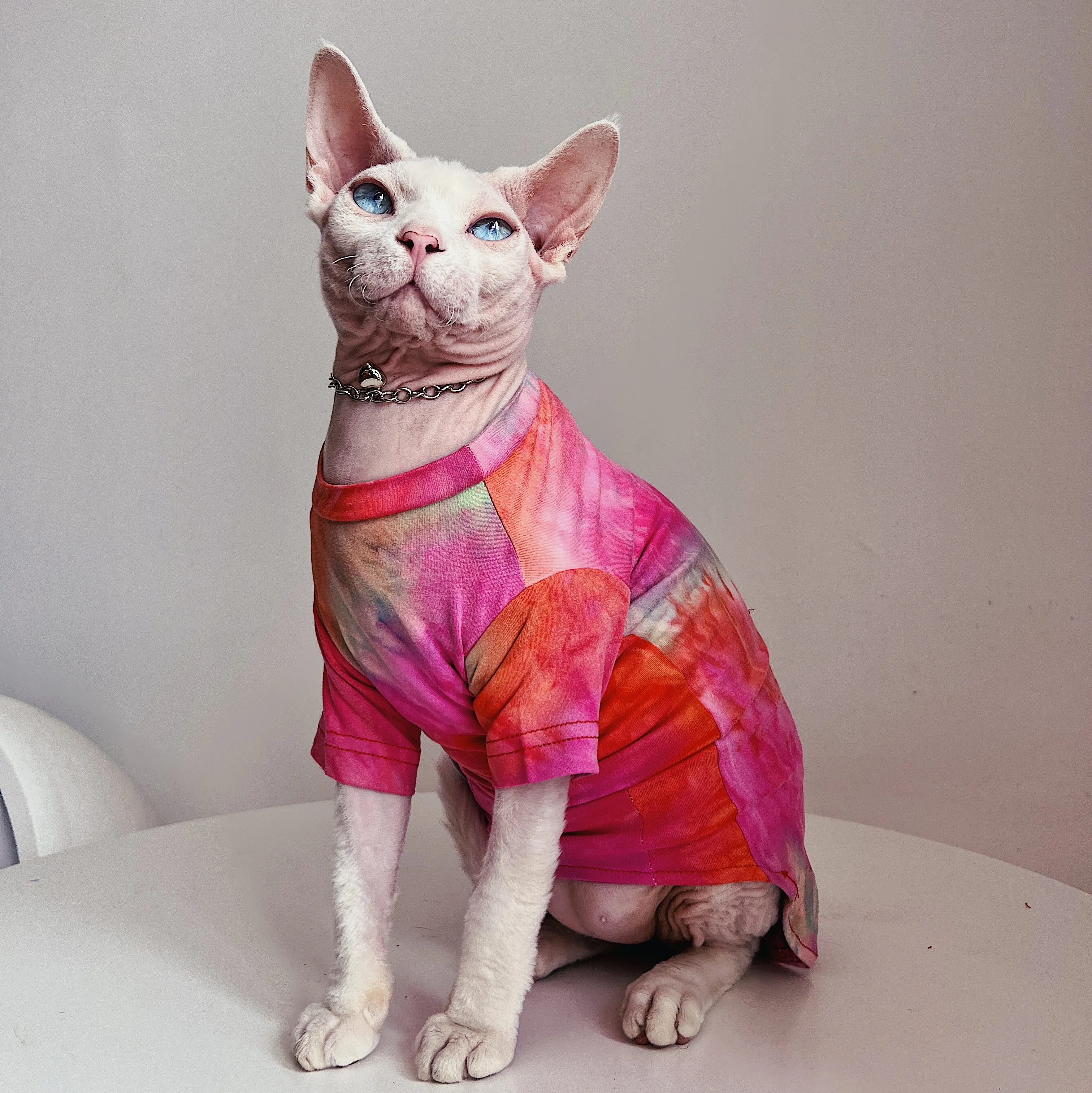 無毛猫用衣服：スフィンクス・コーニッシュ向けの肌に優しい夏用エアコン対応モデル