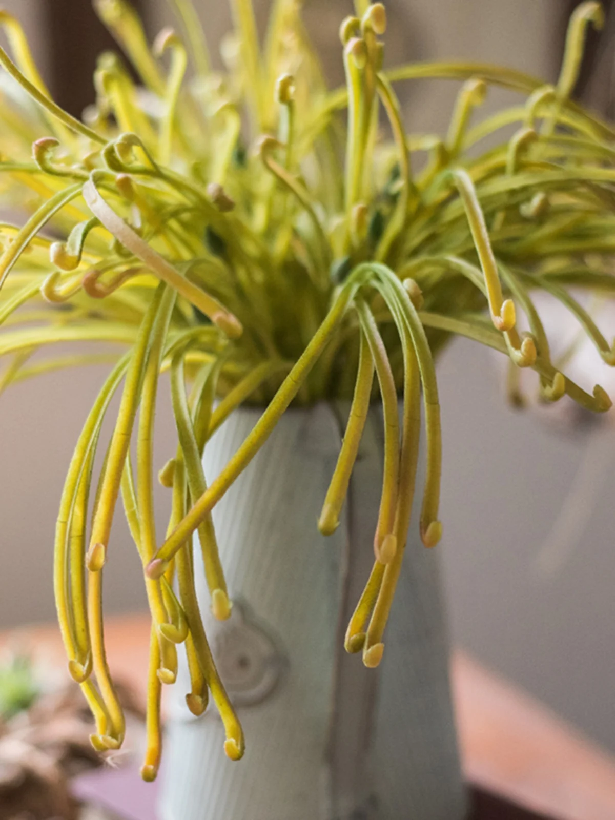 オウムの草で心を癒す方法は？現代のインテリアに溶け込む、自然のリズムを届ける花束の選び方