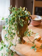 吊ラン グリーンプランツ フェイクプラント 垂れ下がる 装飾 オブジェ 花のアレンジメント セット 北欧風 新鮮