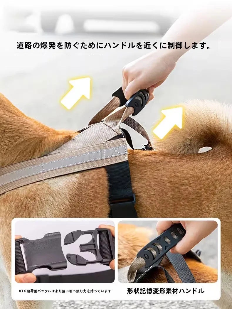 犬のお散歩グッズをコスパ良く揃える方法｜反射材付きハーネスタイプリードの選び方徹底解説
