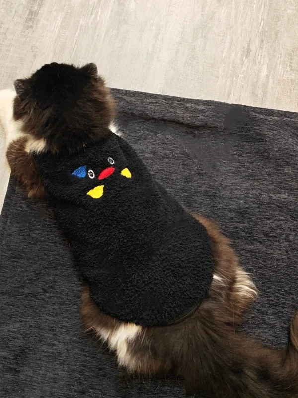 猫レディースとは？その本質と、冬の日常にどう取り入れるか