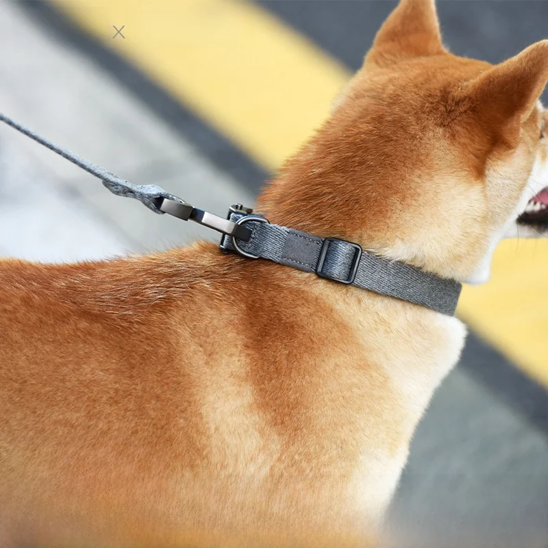 犬のお散歩グッズをコスパ良く揃える方法｜調整可能タイプの選び方と実際の使い心地