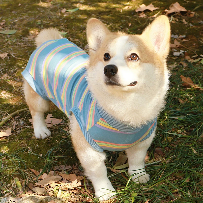 柴犬とコーギー用 犬服：手術後・防舔・全身カバーに最適な四脚衣の実用性解析