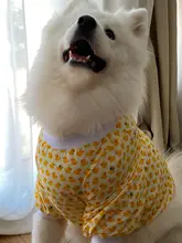 犬用肘保護服【サモエド・ラブラドール向け・防汚・外出用】