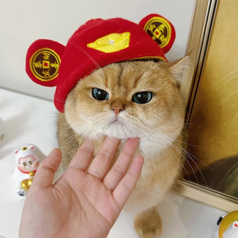 猫用カートゥーンデザインのキャップ：一人暮らしに最適な可愛さと実用性のバランス