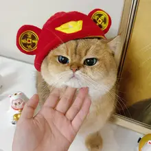 猫用カートゥーンデザインのキャップ【可愛い・金色グラデーション・ペット用】