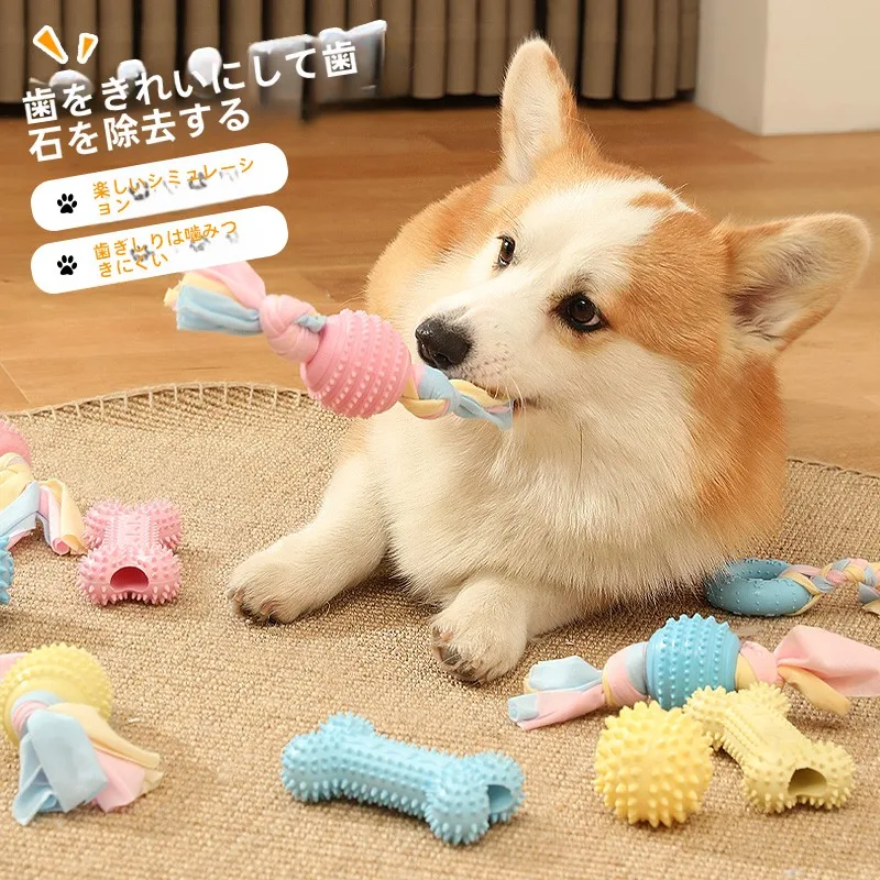 ケージ飼いの犬にぴったりな噛み耐性おもちゃは？